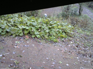 長野県菅平高原 ゆたか山荘 駐車場 2025/10/27 07:15