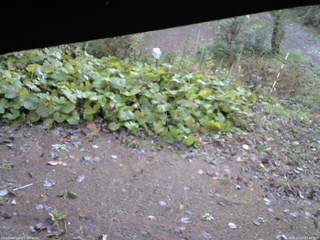 長野県菅平高原 ゆたか山荘 駐車場 2025/10/27 07:45