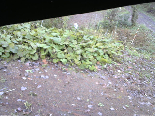 長野県菅平高原 ゆたか山荘 駐車場 2025/10/27 08:30