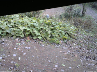 長野県菅平高原 ゆたか山荘 駐車場 2025/10/27 09:30
