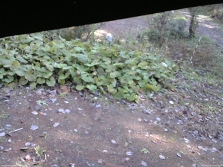 長野県菅平高原 ゆたか山荘 駐車場 2025/10/27 10:45