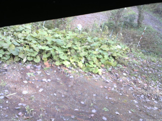 長野県菅平高原 ゆたか山荘 駐車場 2025/10/27 12:15