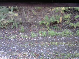 長野県菅平高原 ゆたか山荘 南側 2025/10/28 07:30