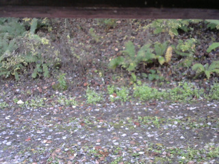 長野県菅平高原 ゆたか山荘 南側 2025/10/28 08:00