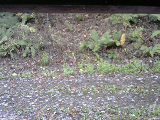 長野県菅平高原 ゆたか山荘 南側 2025/10/28 09:45