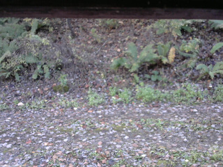 長野県菅平高原 ゆたか山荘 南側 2025/10/28 12:00