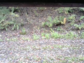 長野県菅平高原 ゆたか山荘 南側 2025/10/28 14:15