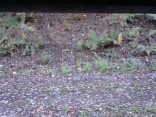 長野県菅平高原 ゆたか山荘 南側 2025/10/28 14:45