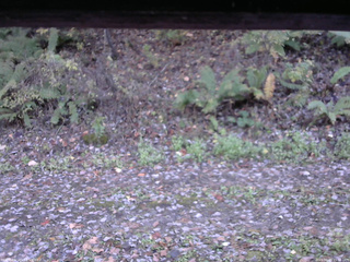 長野県菅平高原 ゆたか山荘 南側 2025/10/28 15:30