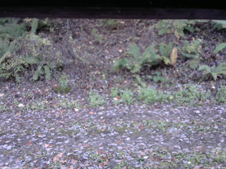 長野県菅平高原 ゆたか山荘 南側 2025/10/28 16:00