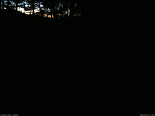 長野県菅平高原 ゆたか山荘 東側(坂下) 2025/10/28 05:30