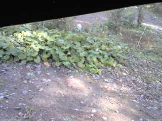 長野県菅平高原 ゆたか山荘 駐車場 2025/10/28 11:30
