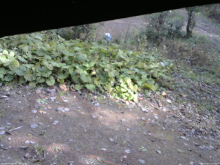 長野県菅平高原 ゆたか山荘 駐車場 2025/10/28 11:45