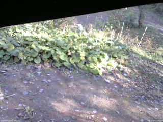 長野県菅平高原 ゆたか山荘 駐車場 2025/10/28 12:45