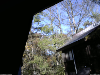 長野県菅平高原 ゆたか山荘 北側 2025/10/29 13:30