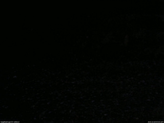 長野県菅平高原 ゆたか山荘 南側 2025/10/29 05:45