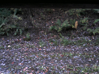 長野県菅平高原 ゆたか山荘 南側 2025/10/29 06:00