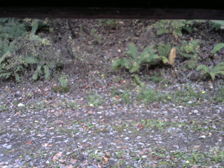 長野県菅平高原 ゆたか山荘 南側 2025/10/29 06:15