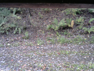 長野県菅平高原 ゆたか山荘 南側 2025/10/29 06:30