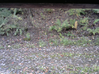 長野県菅平高原 ゆたか山荘 南側 2025/10/29 06:45