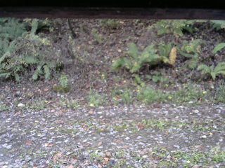 長野県菅平高原 ゆたか山荘 南側 2025/10/29 07:00