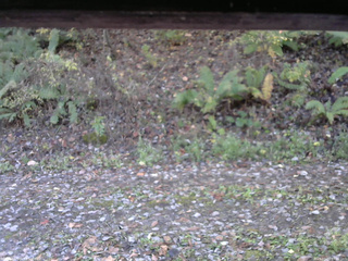 長野県菅平高原 ゆたか山荘 南側 2025/10/29 07:30