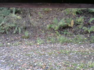 長野県菅平高原 ゆたか山荘 南側 2025/10/29 07:45