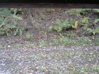 長野県菅平高原 ゆたか山荘 南側 2025/10/29 08:00