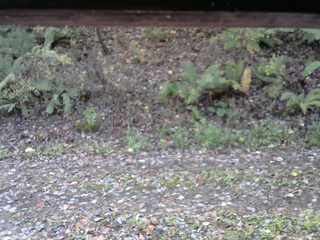 長野県菅平高原 ゆたか山荘 南側 2025/10/29 08:15