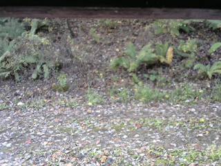 長野県菅平高原 ゆたか山荘 南側 2025/10/29 08:30