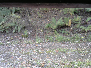 長野県菅平高原 ゆたか山荘 南側 2025/10/29 08:45