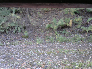 長野県菅平高原 ゆたか山荘 南側 2025/10/29 09:00