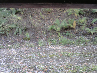 長野県菅平高原 ゆたか山荘 南側 2025/10/29 09:15