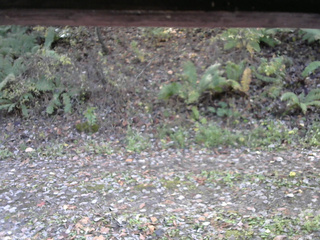 長野県菅平高原 ゆたか山荘 南側 2025/10/29 09:30