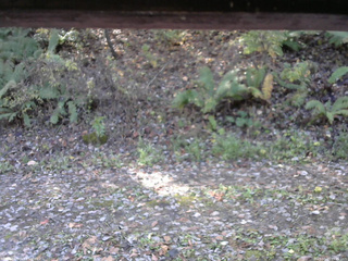 長野県菅平高原 ゆたか山荘 南側 2025/10/29 09:45