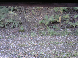 長野県菅平高原 ゆたか山荘 南側 2025/10/29 10:00