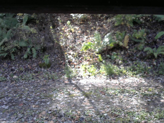 長野県菅平高原 ゆたか山荘 南側 2025/10/29 10:15