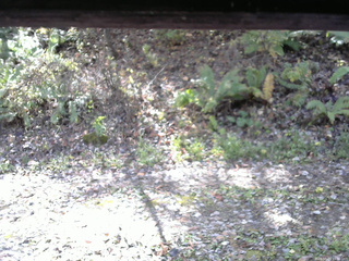 長野県菅平高原 ゆたか山荘 南側 2025/10/29 10:30