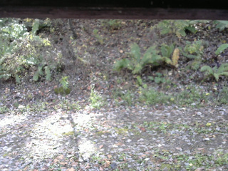 長野県菅平高原 ゆたか山荘 南側 2025/10/29 10:45