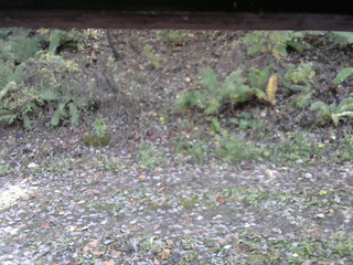 長野県菅平高原 ゆたか山荘 南側 2025/10/29 11:00