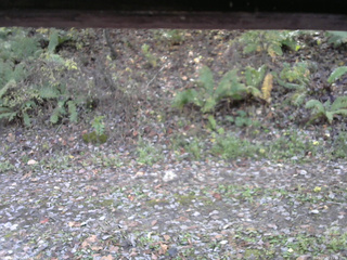 長野県菅平高原 ゆたか山荘 南側 2025/10/29 11:15