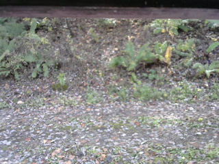 長野県菅平高原 ゆたか山荘 南側 2025/10/29 11:30