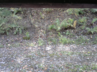 長野県菅平高原 ゆたか山荘 南側 2025/10/29 11:45