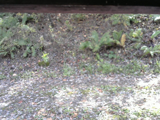 長野県菅平高原 ゆたか山荘 南側 2025/10/29 12:00