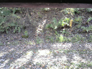 長野県菅平高原 ゆたか山荘 南側 2025/10/29 12:15