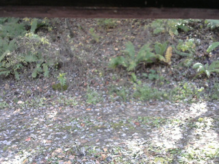 長野県菅平高原 ゆたか山荘 南側 2025/10/29 12:30