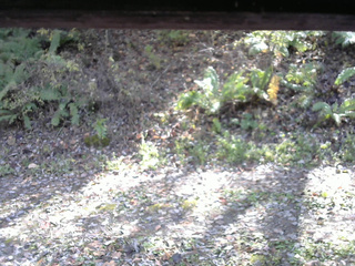 長野県菅平高原 ゆたか山荘 南側 2025/10/29 12:45