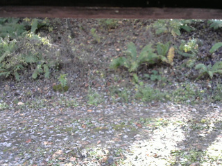 長野県菅平高原 ゆたか山荘 南側 2025/10/29 13:00