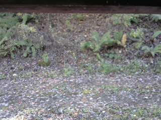 長野県菅平高原 ゆたか山荘 南側 2025/10/29 13:15