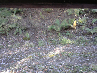 長野県菅平高原 ゆたか山荘 南側 2025/10/29 13:30